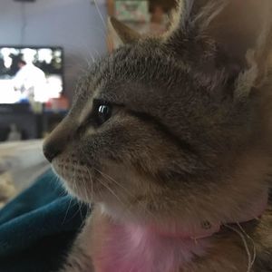 Meet your Posher, Yuki